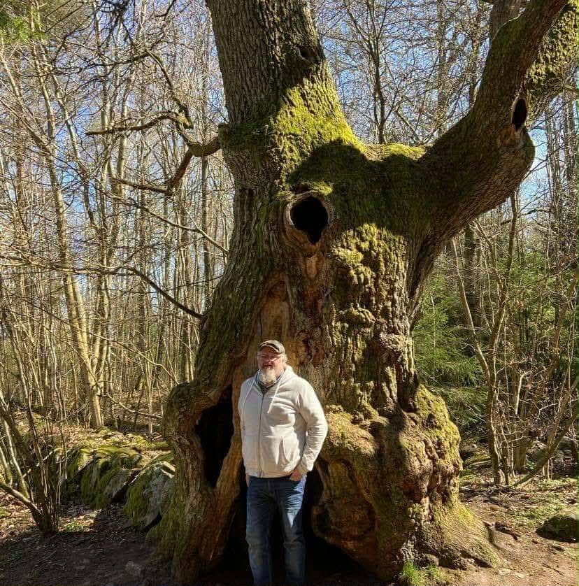 I Skogen